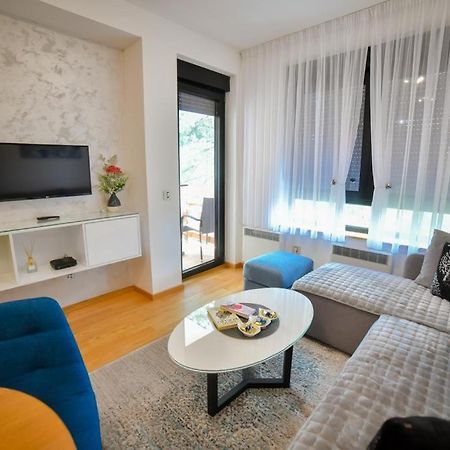 Apartman Silver Lux ズラティボール エクステリア 写真