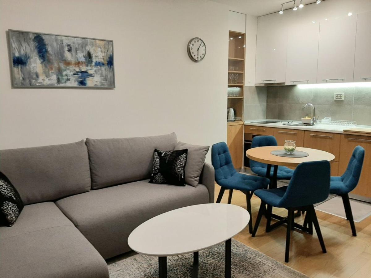 Apartman Silver Lux ズラティボール エクステリア 写真