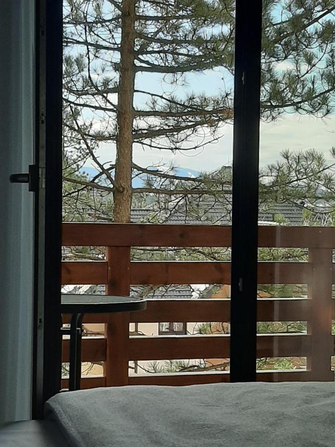Apartman Silver Lux ズラティボール エクステリア 写真