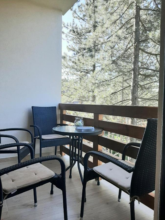 Apartman Silver Lux ズラティボール エクステリア 写真