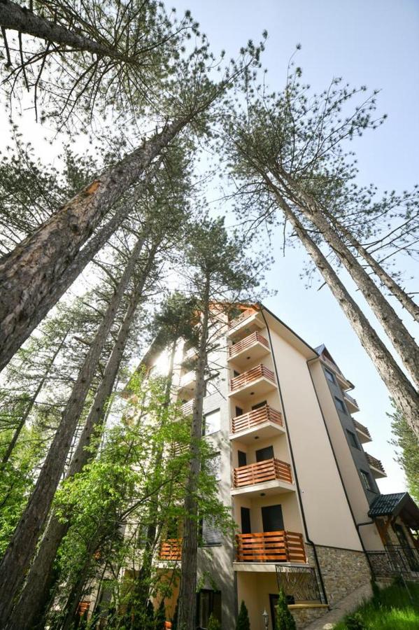 Apartman Silver Lux ズラティボール エクステリア 写真