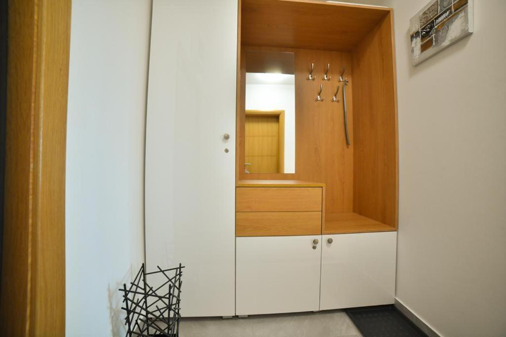 Apartman Silver Lux ズラティボール エクステリア 写真